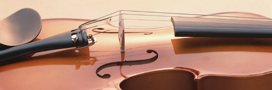 ���C���C���[�W